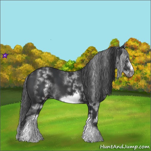 Horse Color:White Spotted Black Sabino Frame 