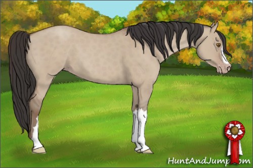 Horse Color:Classic Champagne Dun 