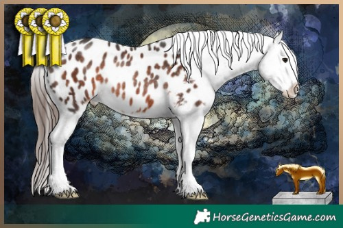 Horse Color:Brown Sabino Blanket Rabicano 
