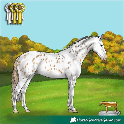 Horse Color:White Spotted Buckskin Splash Blanket