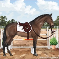 Horse Color:Brown 