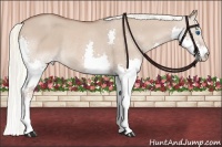 Horse Color:Red Dun Roan Mushroom Splash Rabicano 