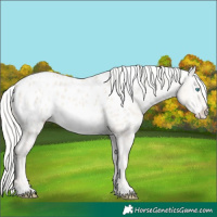 Horse Color:White Spotted Silver Smoky Creme Dun Appaloosa 