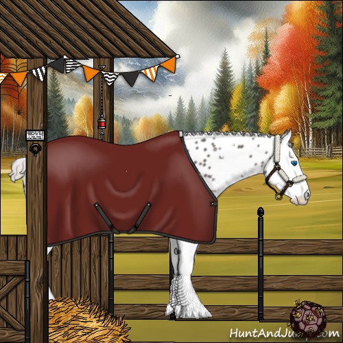 Horse Color:Silver Black Sabino Splash Appaloosa