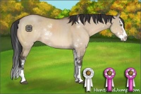 Horse Color:Brown Dun Sabino Splash Rabicano 
