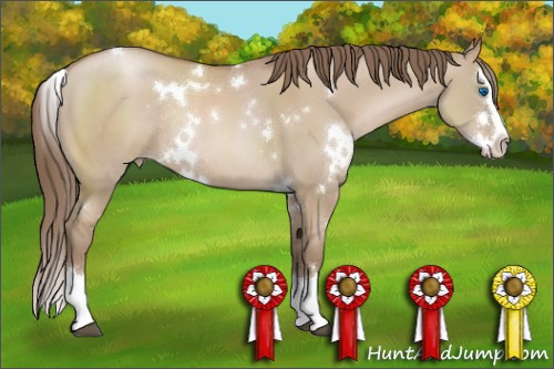 Horse Color:White Spotted Grullo Pearl Sabino Splash Rabicano 