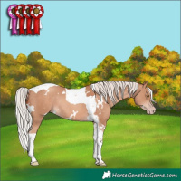 Horse Color:White Spotted Silver Sable Champagne Tobiano Rabicano