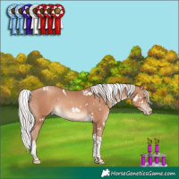Horse Color:White Spotted Silver Sable Champagne Tobiano Rabicano