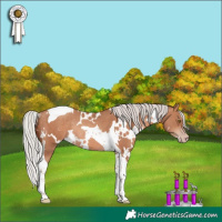 Horse Color:White Spotted Silver Sable Champagne Tobiano Rabicano
