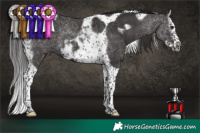 Horse Color:Smoky Black Splash Tobiano Frame 