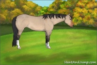 Horse Color:Brown Dun 