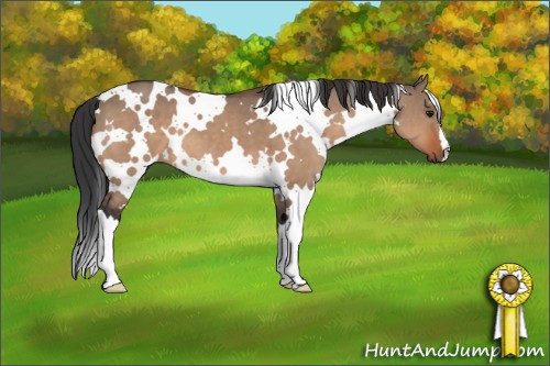 Horse Color:White Spotted Brown Dun