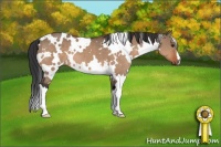 Horse Color:White Spotted Brown Dun 