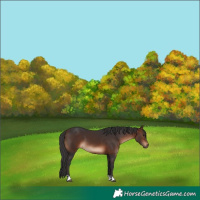 Horse Color:Brown 
