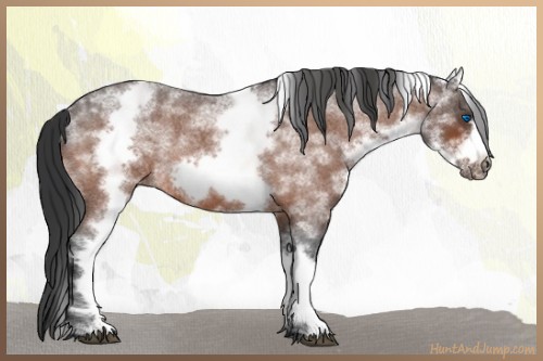 Horse Color:White Spotted Brown Roan Frame 