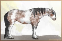 Horse Color:White Spotted Brown Roan Frame 