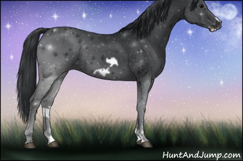Horse Color:Black Frame