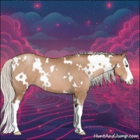 Horse Color:White Spotted Silver Black Pearl Splash