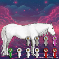 Horse Color:Gray White Spotted Silver Brown Splash Appaloosa Rabicano