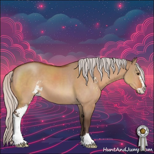 Horse Color:Silver Bay Dun Sabino 