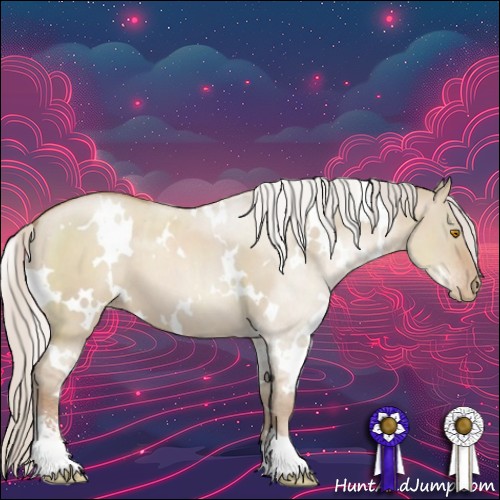 Horse Color:White Spotted Silver Grullo Pearl Sabino