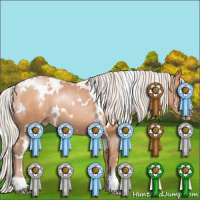 Horse Color:White Spotted Silver Black Pearl 