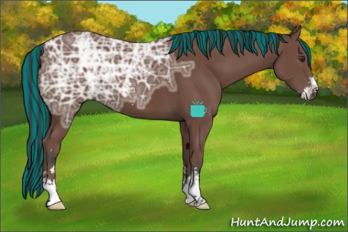 Horse Color:Painted Bay Ice Sabino