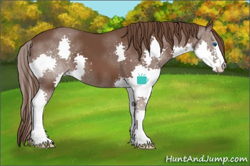 Horse Color:Liver Chestnut Splash 