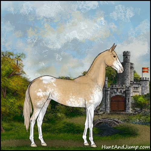 Horse Color:White Spotted Palomino Varnish 