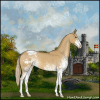 Horse Color:White Spotted Palomino Varnish