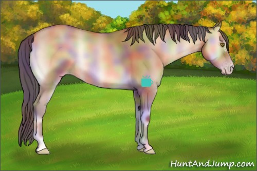 Horse Color:Nacre Sable Champagne Onyx 