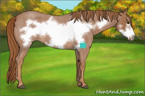 Horse Color:Red Roan Frame 
