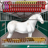 Horse Color:White Spotted Classic Champagne Dun Sabino Splash