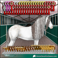 Horse Color:White Spotted Classic Champagne Dun Sabino Splash 