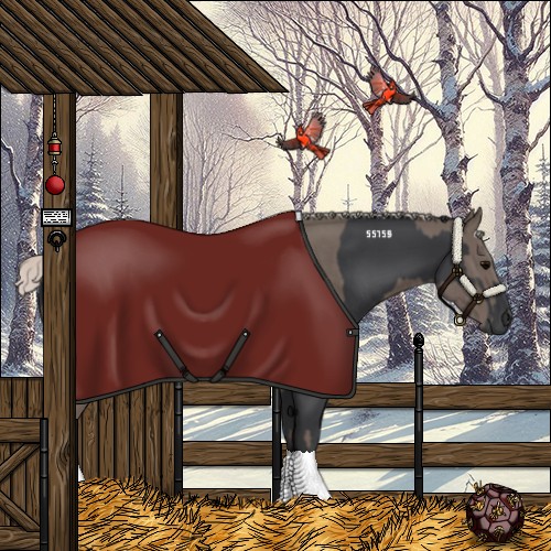 Horse Color:Black  and Silver Black 