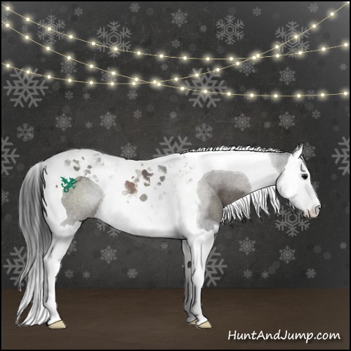 Horse Color:Black Splash Tobiano Rabicano
