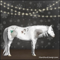 Horse Color:Black Splash Tobiano Rabicano
