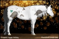 Horse Color:Grullo Splash Tobiano Rabicano