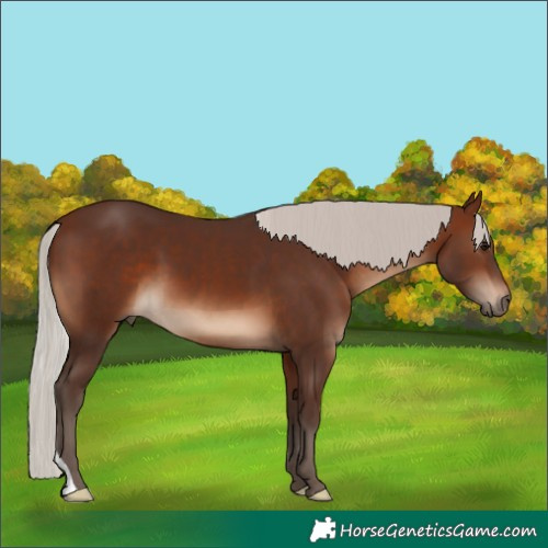 Horse Color:Silver Brown