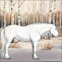Horse Color:Cremello Splash  and Cremello Splash 