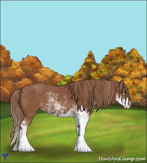 Horse Color:Chestnut Sabino