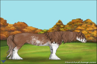 Horse Color:Chestnut Sabino
