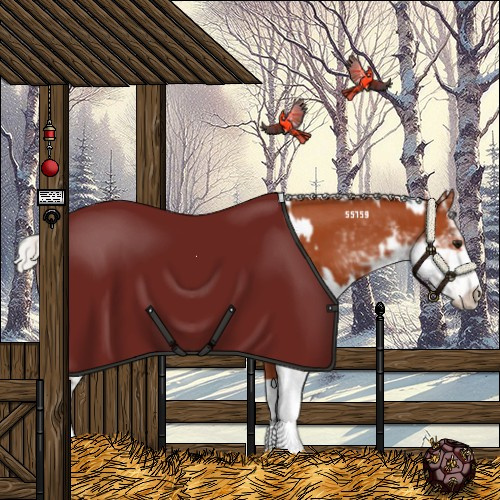 Horse Color:Silver Bay Sabino Rabicano  and Silver Bay Sabino Rabicano 