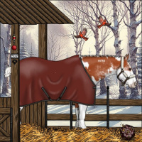 Horse Color:Silver Bay Sabino Rabicano  and Silver Bay Sabino Rabicano 