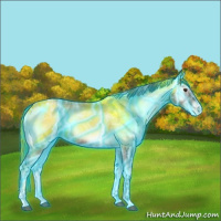 Horse Color:Thunderstruck Red Onyx Ice Tobiano Varnish