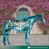 Horse Color:Void Thunderstruck Buckskin Ice Onyx Tobiano Appaloosa 