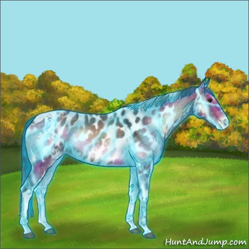 Horse Color:Thunderstruck Liver Red Onyx Ice Tobiano Near Leopard 