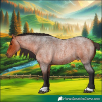 Horse Color:Bay Roan 