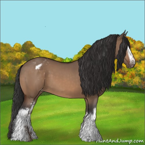 Horse Color:White Spotted Bay Dun Blanket 