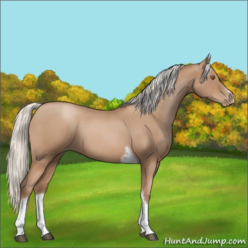 Horse Color:Silver Blue Roan Pearl Tobiano Frame 